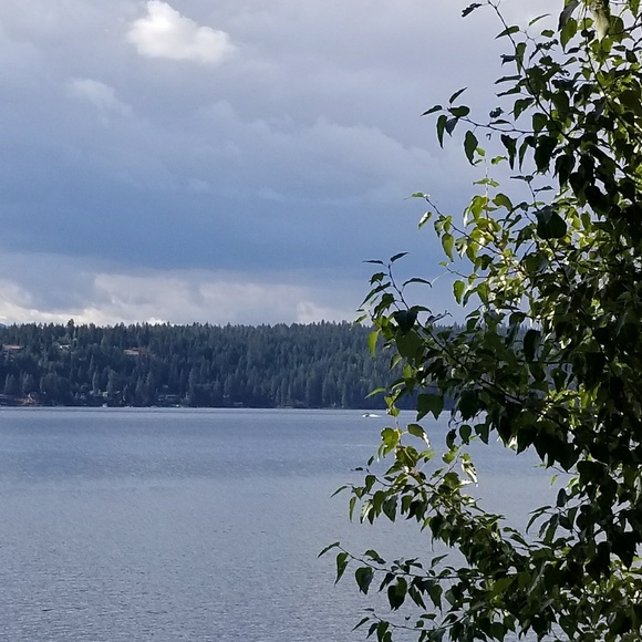 Meet your Posher, Heather - Picture 4 of 4